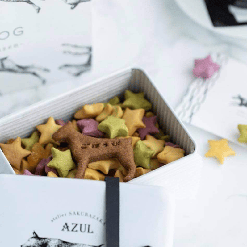444.dogs専用 matsui DOGS Blind Box | Sniffing Toy