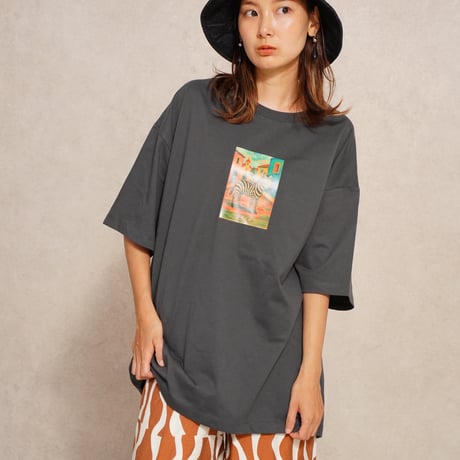 zebra art T-shirt"CACCA original"