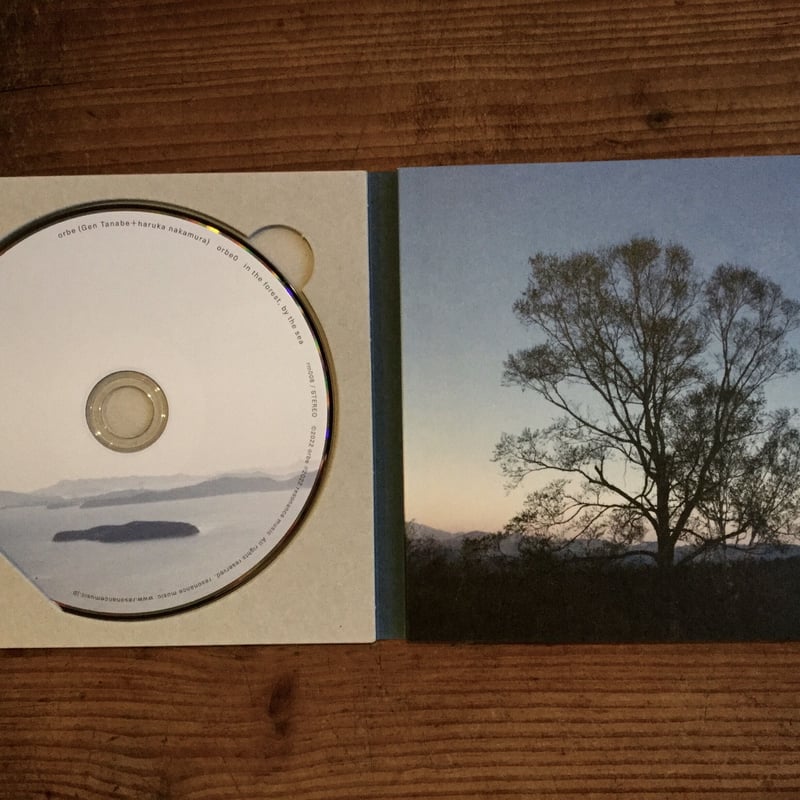 orbe/orbe feat.Luca アナログ盤+CD orbe/orbe feat.Luca アナログ盤+CD 新品未使用orbe feat.LUCA