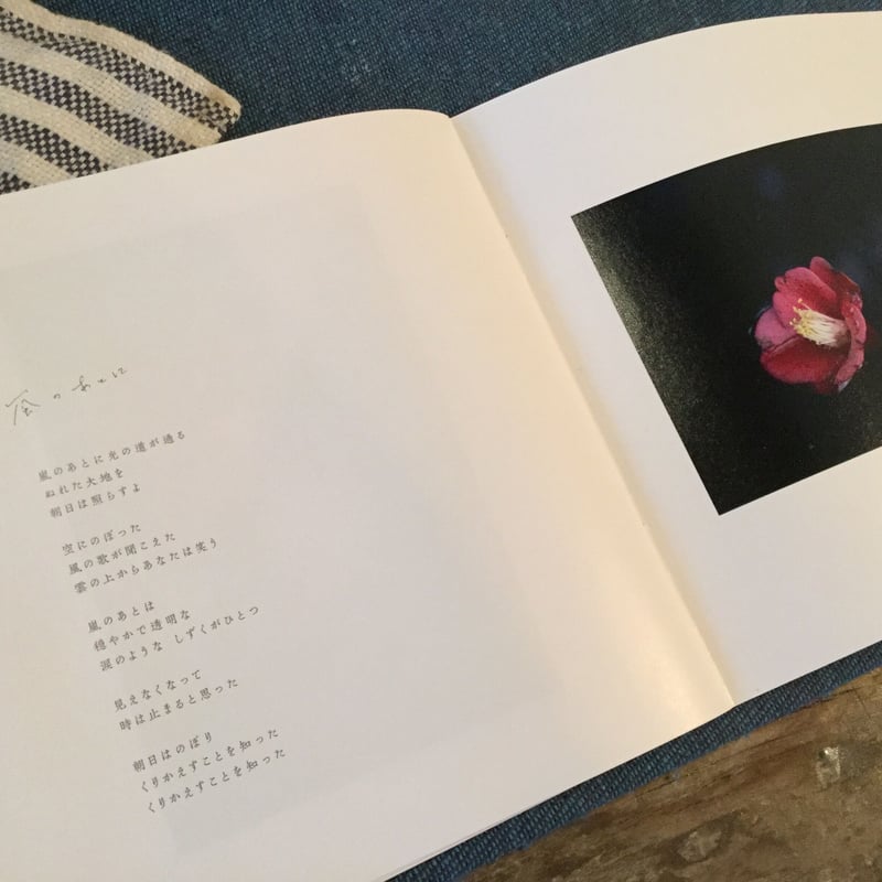 Botanical Baobab CD ボタニカル　バオバブ Botanical Baobab CD ボタニカル バオバブ CD「カナタ」 baobab +