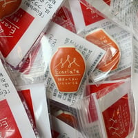 【エカルラート】陶製ピンズ