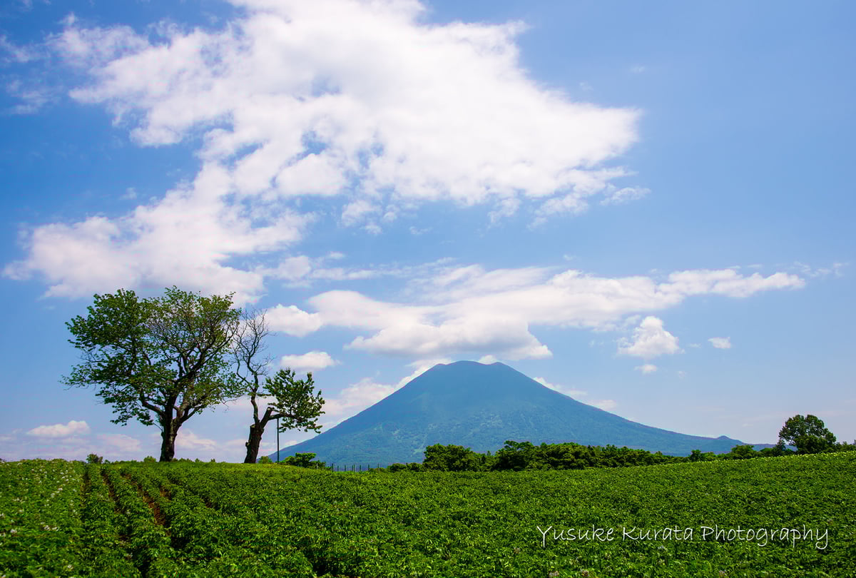39.ポストカード・夏の羊蹄山 | Yusuke Kurata Photo STORE