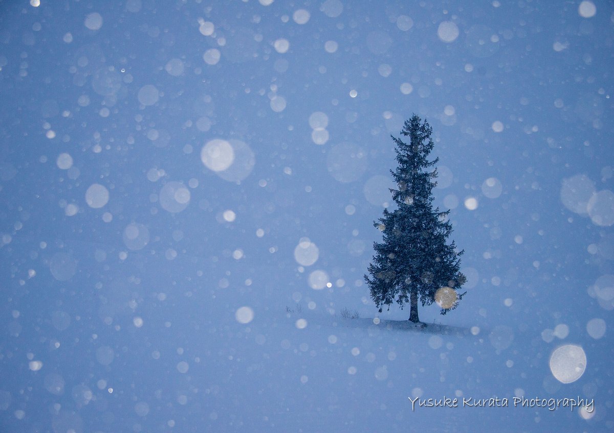 雪付きクリスマスツリー 楽天市場】クリスマスツリー 雪の通販