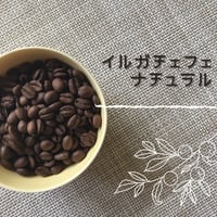 イルガチェフ・ナチュラル100g