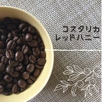 コスタリカ・レッドハニー100g