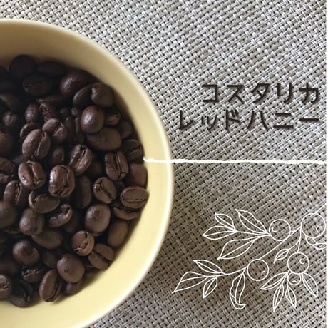 コスタリカ・レッドハニー100g
