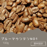 ブルーマウンテン100g