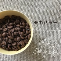 モカハラー100g
