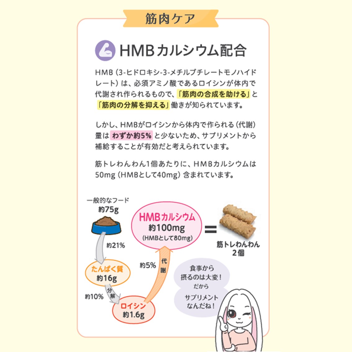 筋トレわんわん　3袋 HMBケアサプリ 筋トレわんわん | 兼松ウェルネス情報サイト