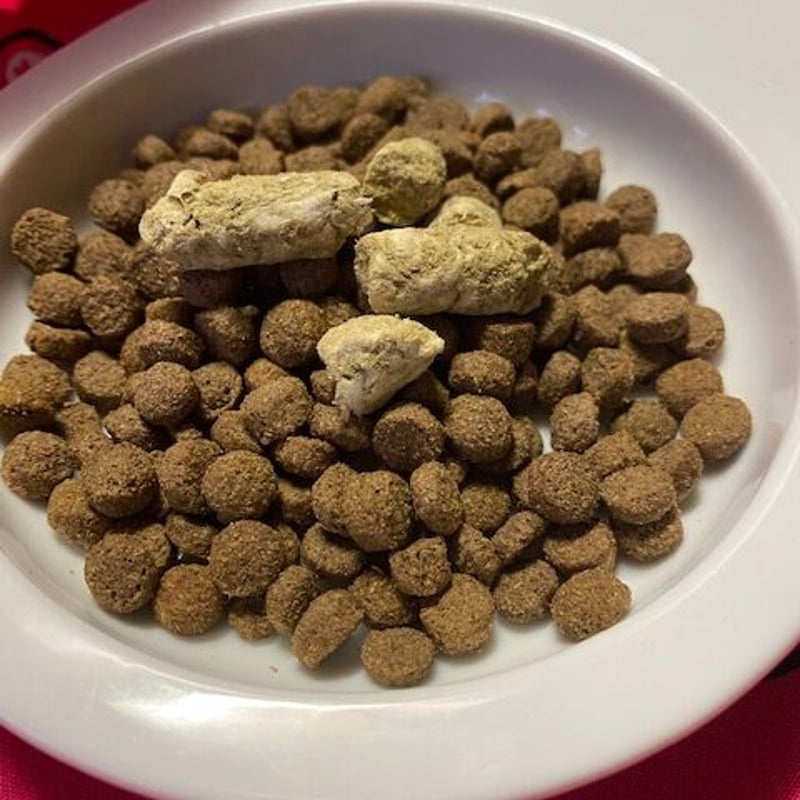 犬フード K9ナチュラル ラム 500g×2袋 K9ナチュラル ラム&キング 犬フード K9ナチュラル ラム 500g×2袋 K9ナチュラル ラム&キング