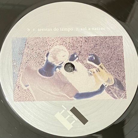 Tropa Macaca - Vida [LP][The Trilogy Tapes] (USED)