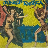 Various - Jungle Exotica [LP][Strip] (USED)