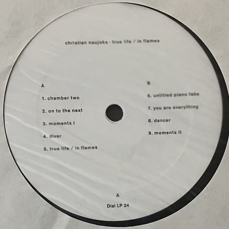 Christian Naujoks - True Life / In Flames [LP][Dial] (USED)