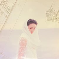 dip in the pool - 太陽のしっぽ - Rabo Del Sol [12][Moon Records] (USED)