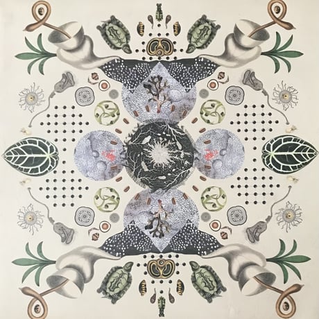 Gryke Pyje - Fragments Of High Sensitivity [LP][Ikuisuus] (USED)