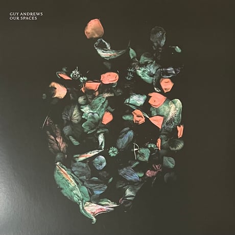 Guy Andrews - Our Spaces [2LP][Houndstooth] (USED)
