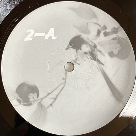 Yximalloo - The Best of Yximalloo 2 [LP][Sakura Wrechords] (USED)