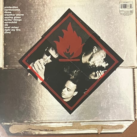 Massive Attack - Protection [LP][Wild Bunch Records] (USED)