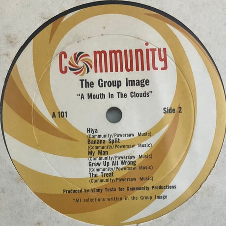 The Group Image - A Mouth In The Clouds [LP][Community Records] (USED)