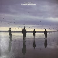 Echo And The Bunnymen - Heaven Up Here [LP][Korova P] (USED)