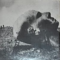 Bob Ostertag - Getting A Head [LP][Rift] (USED)