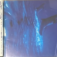Various - Awakening～Healing Compilation From The Next Phase 地球からの風景 [CD] (USED)