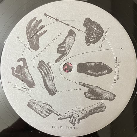 Charles K. Noyes - The World And The Raw People [LP][Zoar Records] (USED)