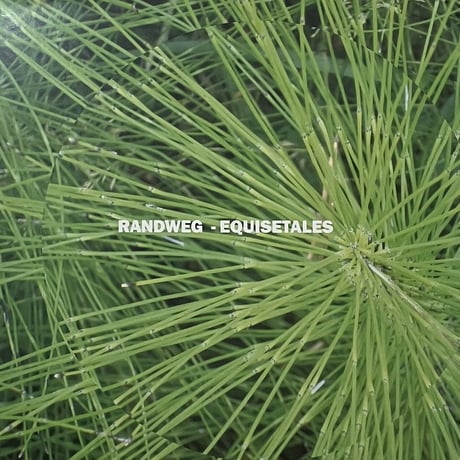Randweg - Equisetales [LP][Funken Records] (USED)
