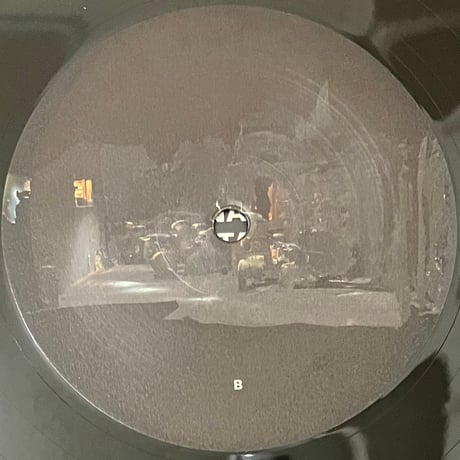9ms - II [LP][Squama] (USED)