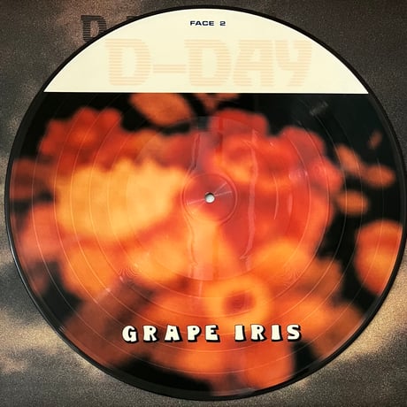D-Day - Grape Iris [LP][Balcony Records] (USED)