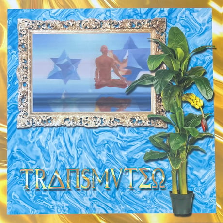 Transmuteo - Transmuteo [LP][Aguirre Records] (USED)