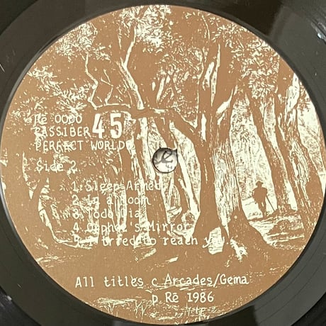 Cassiber - Perfect Worlds [LP][Re Records] (USED)