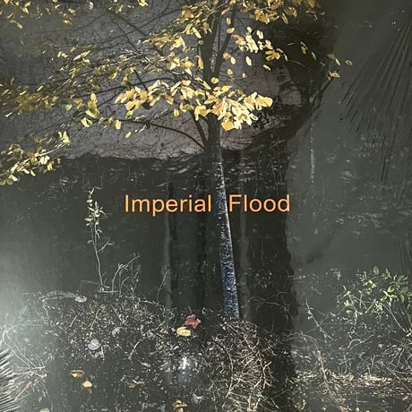 Logos - Imperial Flood [LP][Different Circles] (USED)