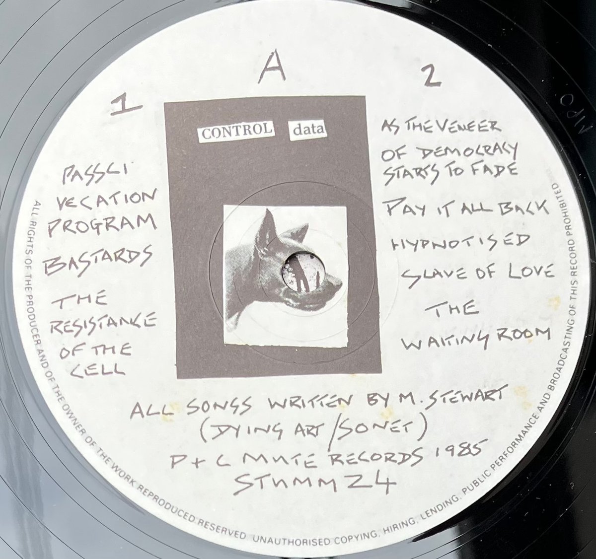 The Pop group /Mark Stewart レコード2枚組 ザ・ポップ・グループ | ハウ・マッチ・ロンガー | ビクター