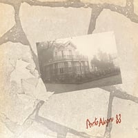 Dip In The Pool - 10 Palettes [LP][Moon Records