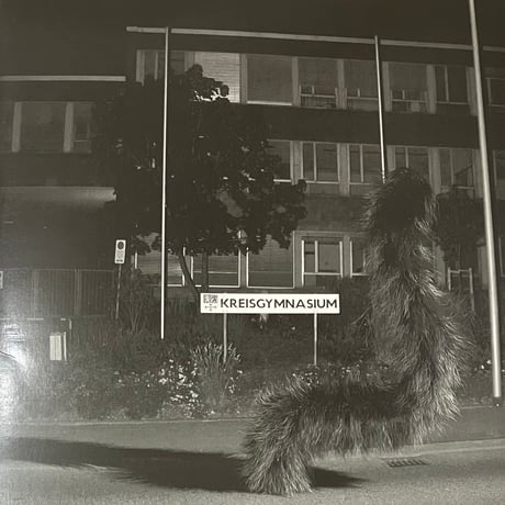 Tim Berresheim - No Time Left [LP][Eventuell] (USED)