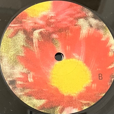 Gala Drop - Amizade [LP][GDRecords] (USED)
