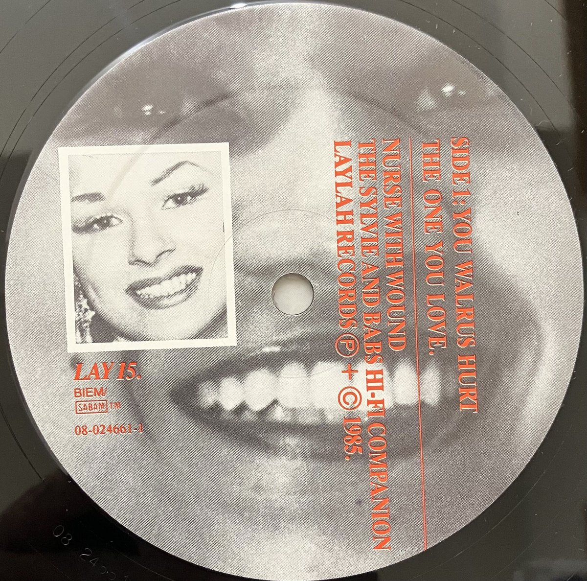 洋楽 Nurse With Wound - The Sylvie And Babs Nurse With Wound – The Sylvie And Babs Hi-Fi Companion – Vinyl