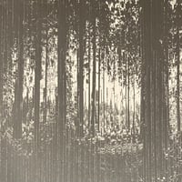 Eartaker - Harmonics [2LP][Bedouin Records] (USED)