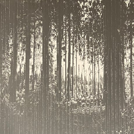 Eartaker - Harmonics [2LP][Bedouin Records] (USED)