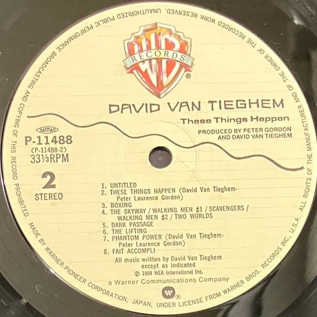 David Van Tieghem - These Things Happen [LP][Warner Bros. Records] (USED)