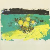 戸川純 - 東京の野蛮 [LP][HYS] (USED) | FunTricks Records