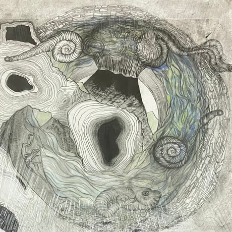 Aine O'Dwyer - Gallarais [LP][MIE Music] (USED)