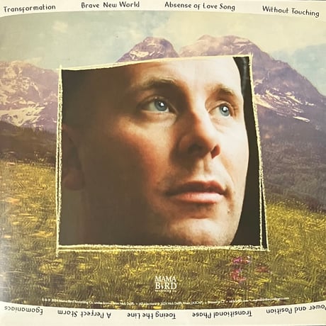 Nick Delffs - Transitional Phase [LP][Mama Bird Recording Co.] (USED)