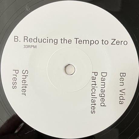 Ben Vida - Damaged Particulates [LP][Shelter Press] (USED)