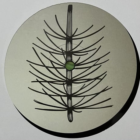 Randweg - Equisetales [LP][Funken Records] (USED)