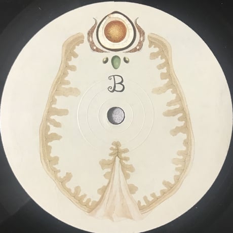Gryke Pyje - Fragments Of High Sensitivity [LP][Ikuisuus] (USED)