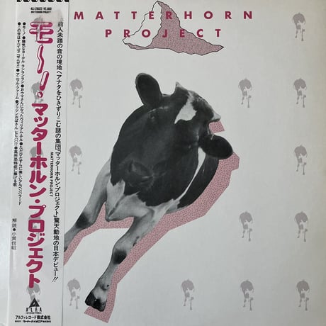 Matterhorn Project - Matterhorn Project [LP][Alfa International] (USED)