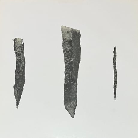 坂田明 タコロジー LP 坂田明 タコロジー LP - メルカリ