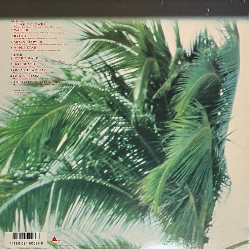 レア】避暑地まで Down To The Resort レコード LP